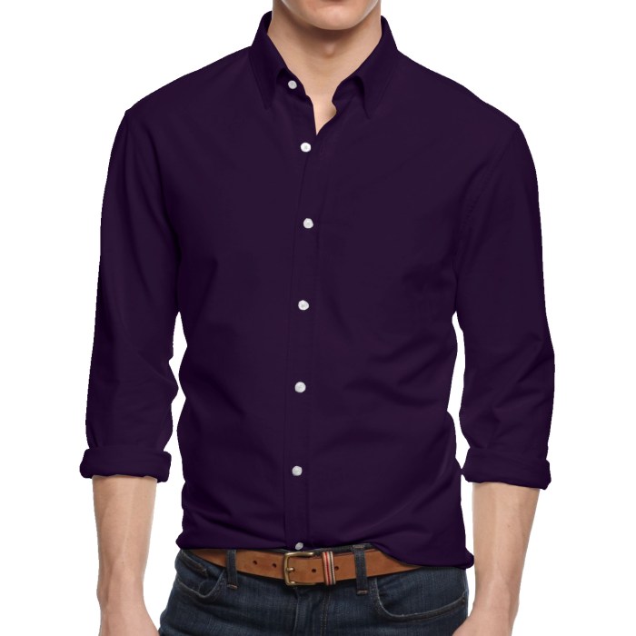 Men's button down collar dress shirt